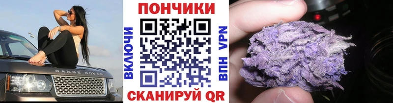 Купить наркоту Шатура А ПВП МЕФ ГАШ Галлюциногенные грибы Канабис
