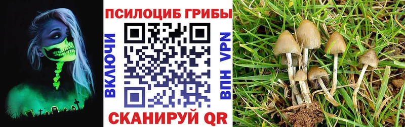 MEGA сайт Шатура Галлюциногенные грибы GOLDEN TEACHER